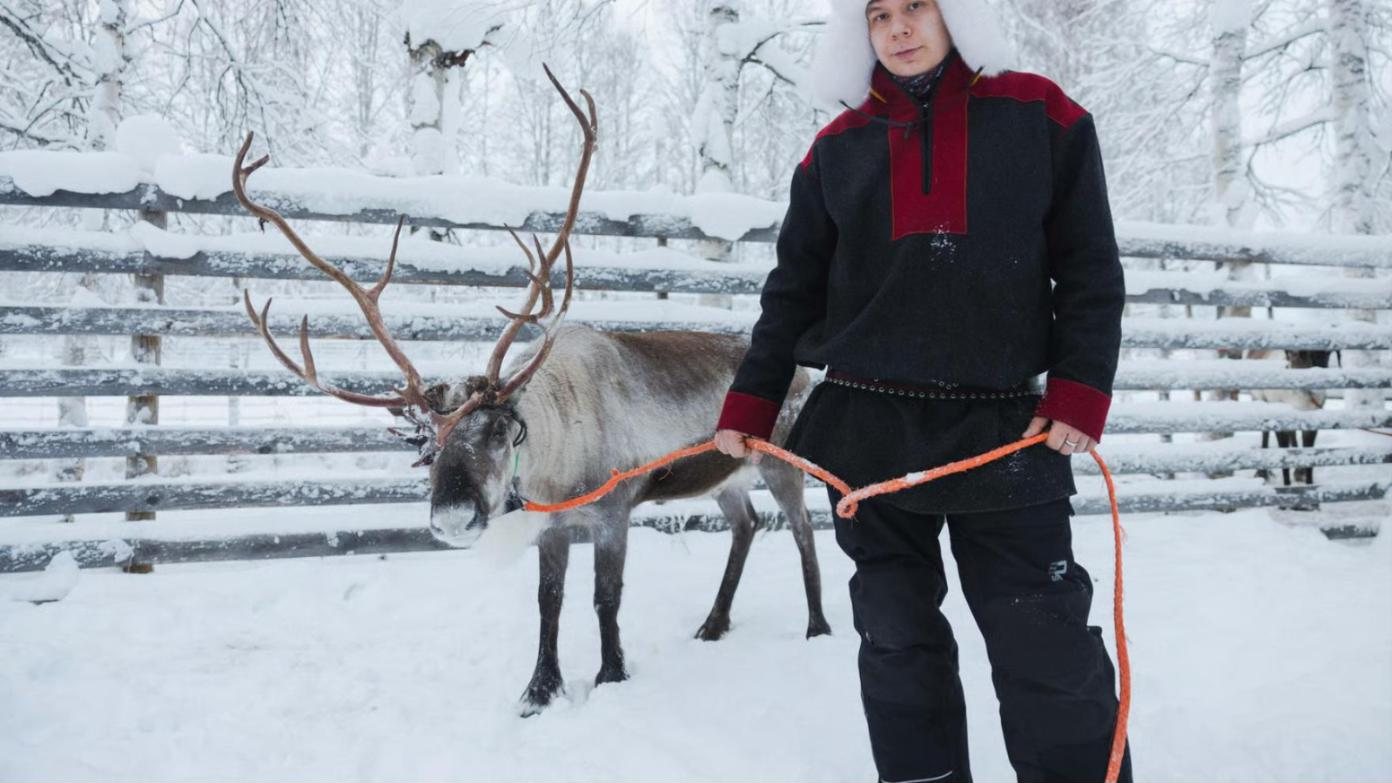 A reindeer on a lead by a wooden fence, a herder in a fur hat